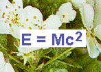 (c) Albert Einstein & Friends :-)